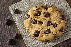 Cookie Biscuit