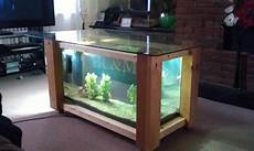 Fish Display Cabinet