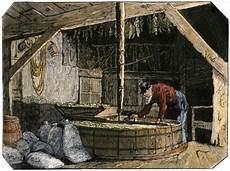 Africa Wheat Flour