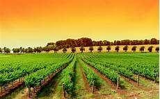 Agriculture Machineries