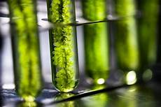 Biodiesel