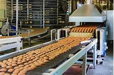 Commercial Bakery Machine