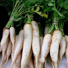 Cooked Vegetables