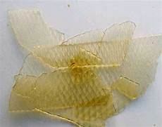 Cooking Product