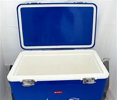 Cooler Bag