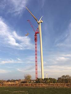 Cranes