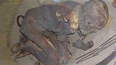 Embalming Device