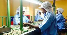 Food Processing Machines