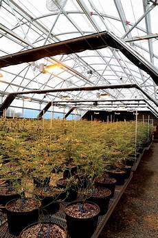 Greenhouse Systems