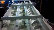 Industrial Washing Machine