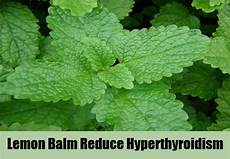 Nursing Balm