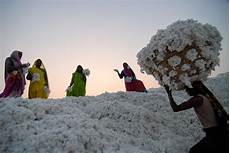 Organic Cotton Clothing