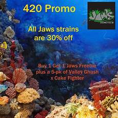 Promo Giveaways