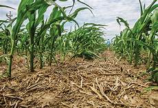 Tillage Systems