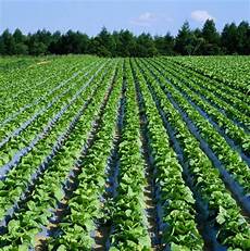 Tillage Systems